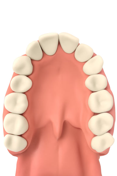 Mouth Breathing and Facial Deformation